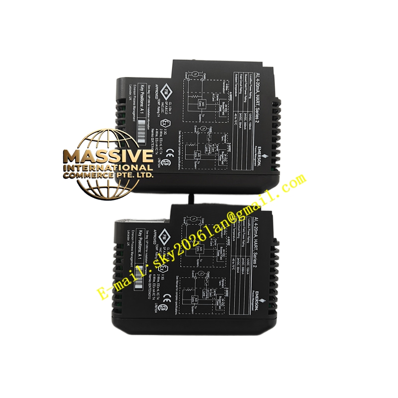 Foxboro VE4003S2B1 - Image 2