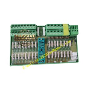 Triconex 9556-810F