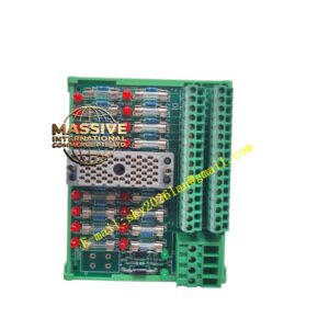 Triconex 9565-810F