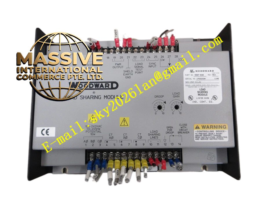 Woodward 9907-802