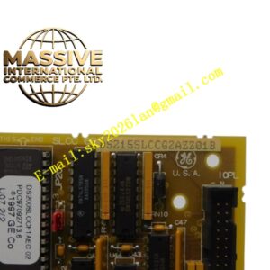 GE DS215SLCCG2AZZ01B