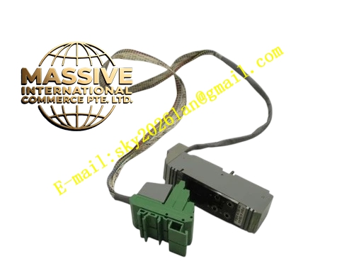 Foxboro P0500RG