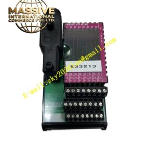 Foxboro FBM203
