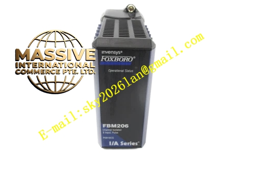 Foxboro FBM206