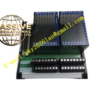 Foxboro FBM203RH916XJ