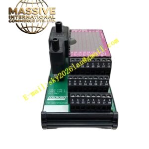 Foxboro FBM232P0926GW