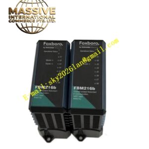 Foxboro FBM216B