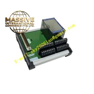 Foxboro FBM216B P0927AJ