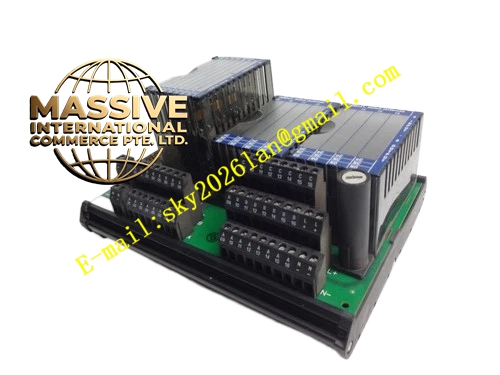 Foxboro P0916VM