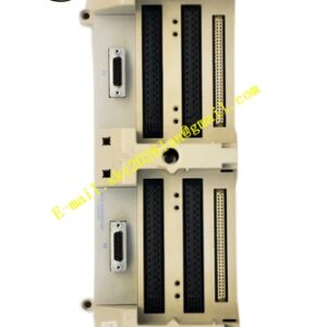 Emerson 1C31206G01