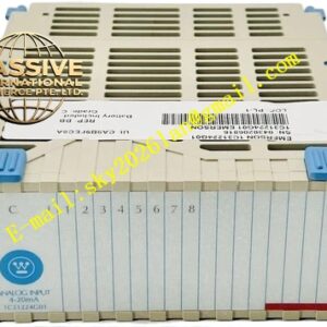 Emerson 1C31224G01