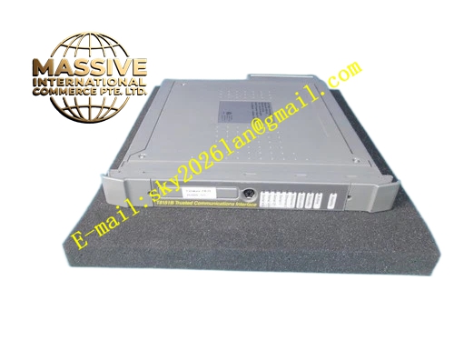 Ics Triplex TC‑301‑02‑2M0