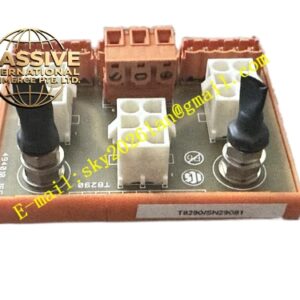ICS Triplex TC-201-02-6M5