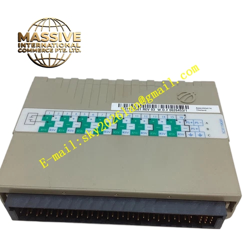 Emerson 1C31181G01